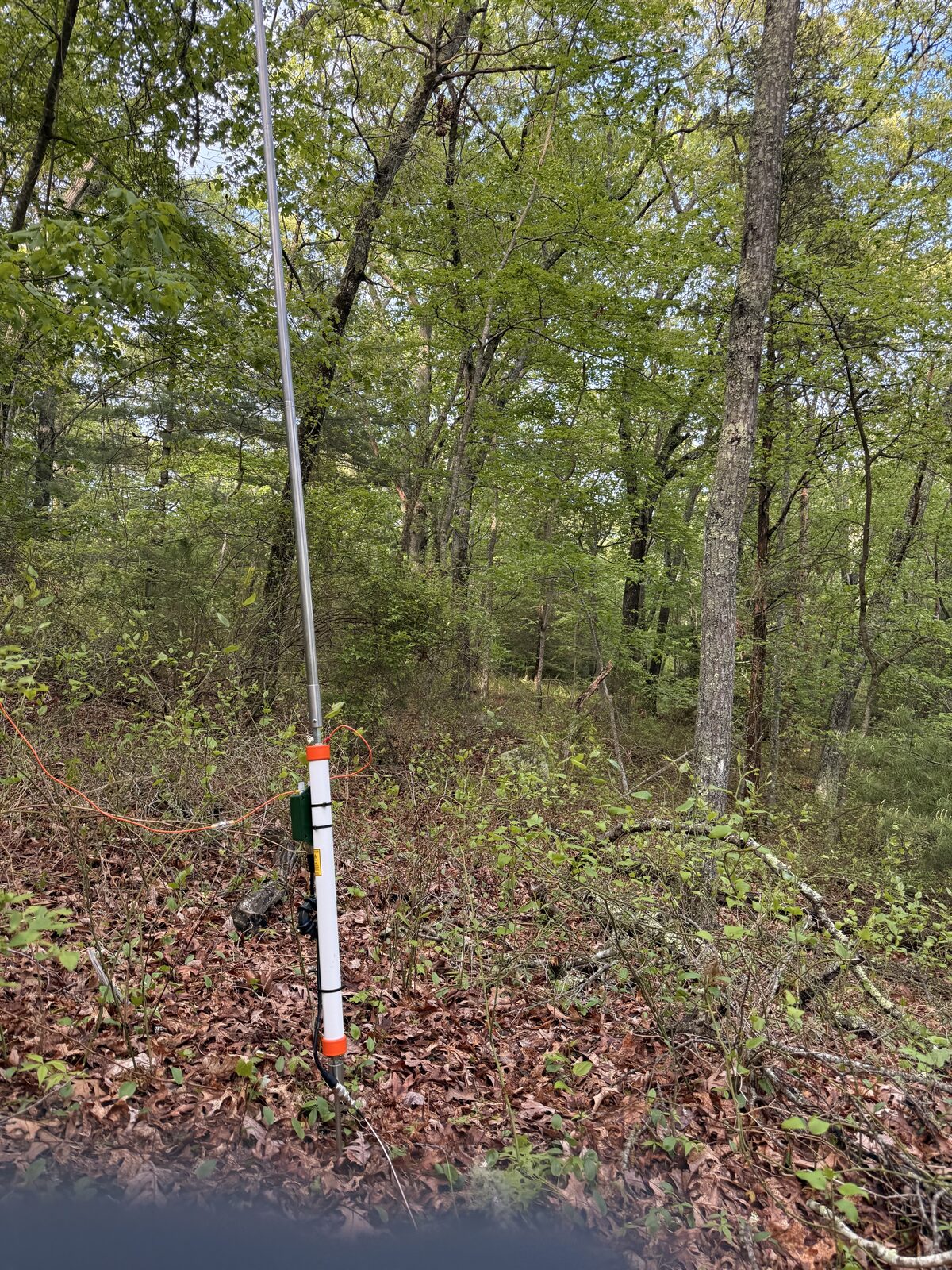 KJ6ER Challenger antenna set up in the woods for the final twofer
