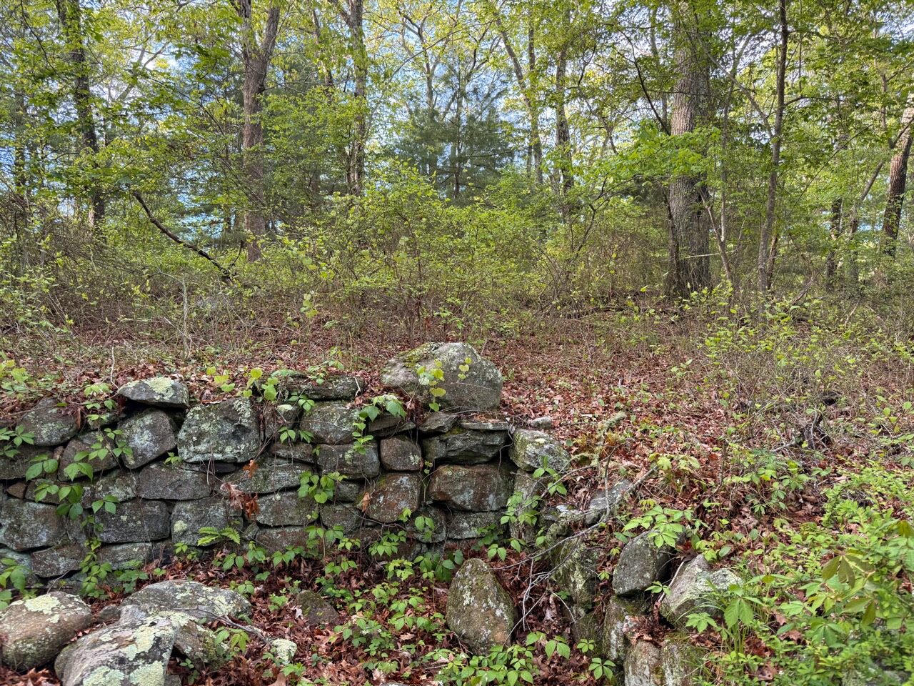 Stone wall and woods near the final Kimball and Burlingame operating spot