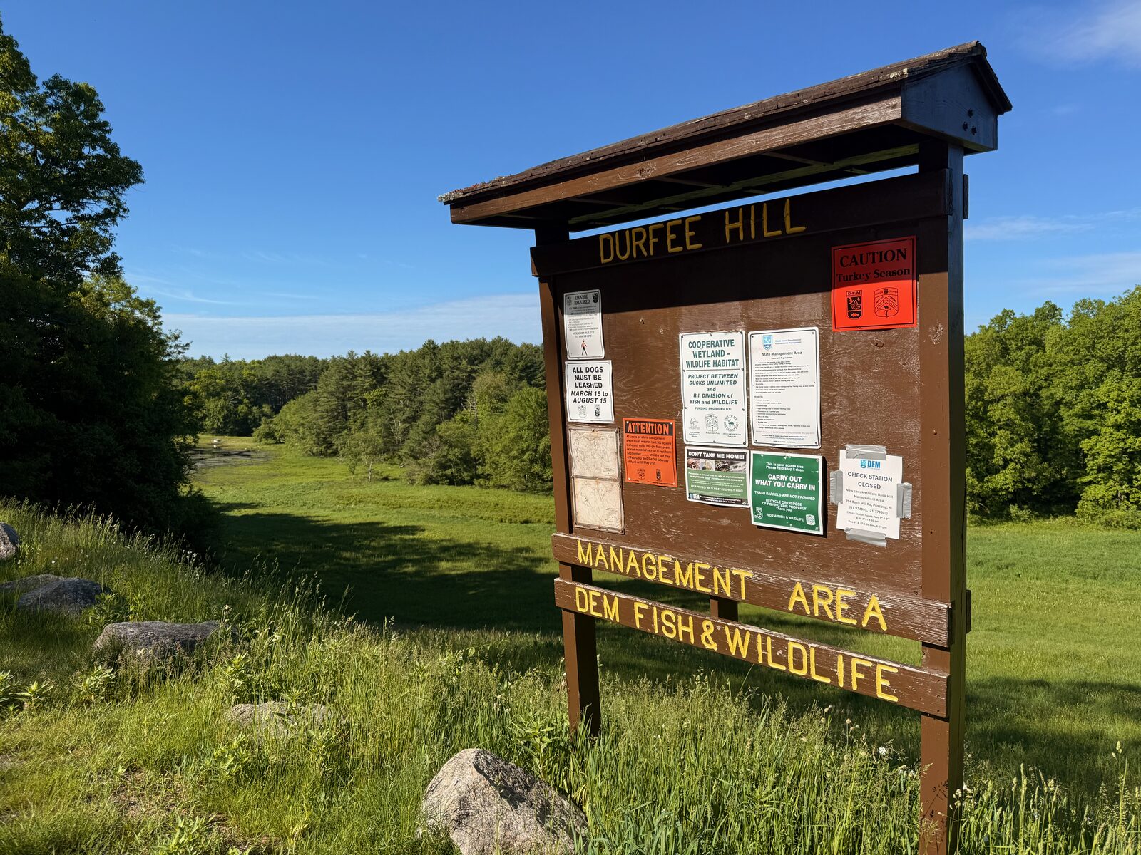 Durfee Hill Management Area DEM Fish and Wildlife sign with the wetland meadow visible behind it