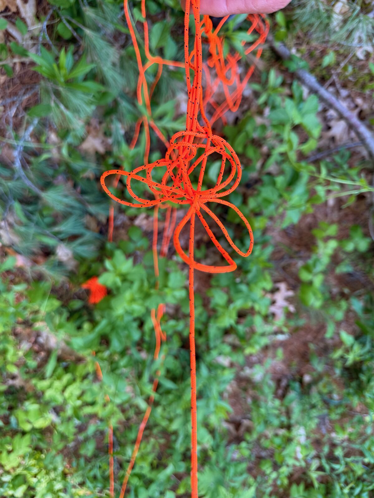 Throw line tangled in a ball mid-air after the weight cleared the branch at Durfee Hill
