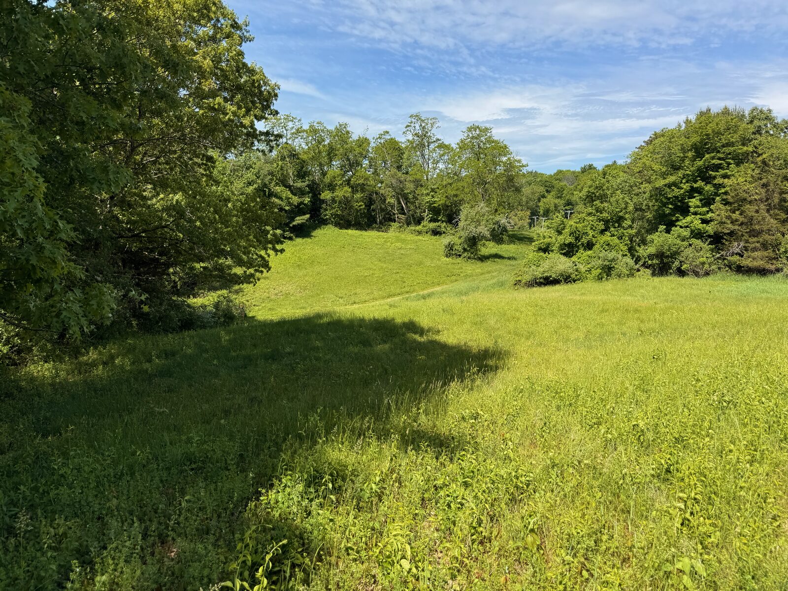 Open meadow valley at Durfee Hill, the kind of low bowl spot I wanted to avoid operating from