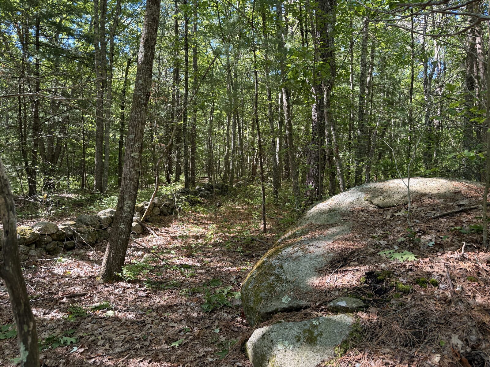Wooded operating site at JL Curran State Park with boulders and a low stone wall