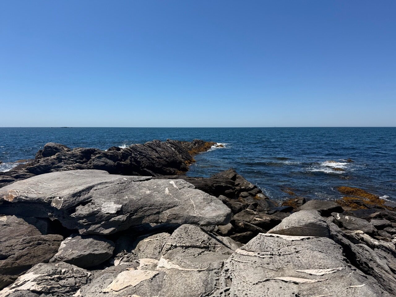 Large flat shoreline rock used as the operating platform at Sachuest Point